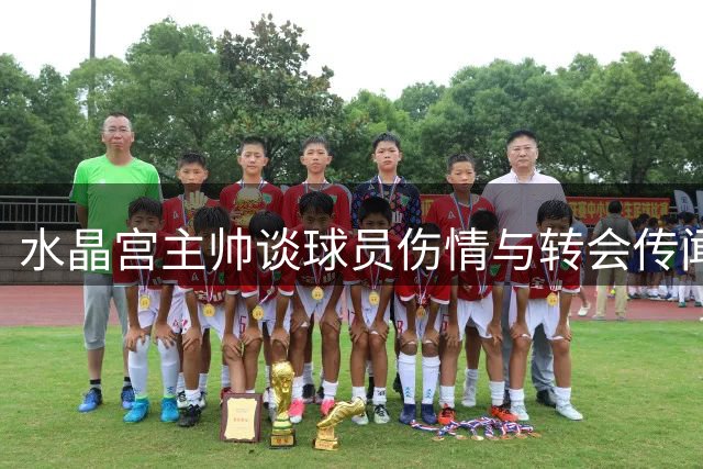 水晶宫主帅谈球员伤情与转会传闻